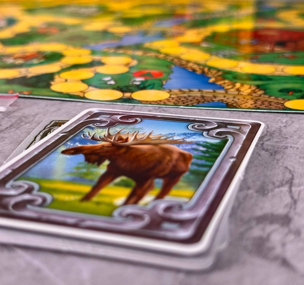 راز جنگل کیفی فکر آوران